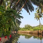 Agonda Palace Resort